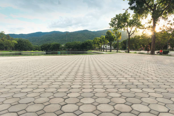 Best Professional Driveway Pavers  in Bean Station, TN